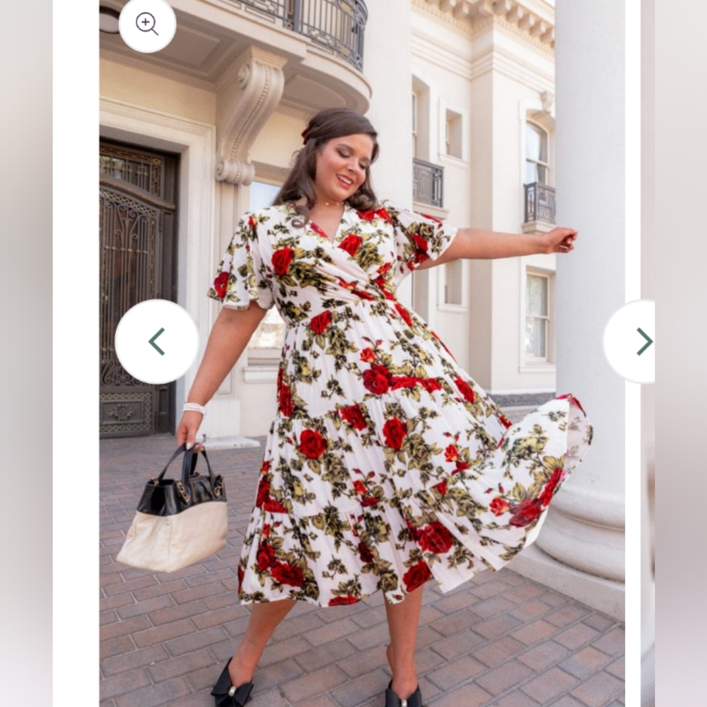BNWT ❤️ 4x Isabella dress by Jessakae